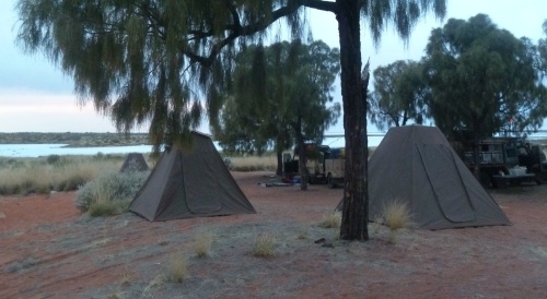 Camping under desert oaks at Lake Disappointment
